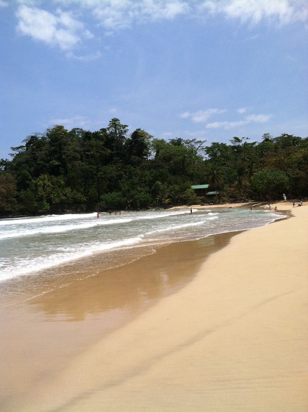 "Bocas Del Toro, Isla Bastimentos, palm trees, humidity, the firefly bocas del toro, snorkeling"
