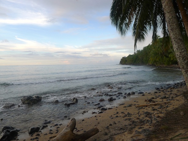 Bocas Del Toro, Isla Bastimentos, palm trees, humidity, the firefly bocas del toro, snorkeling